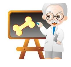 制定超声骨密度检测仪的校准规范 制定超声骨密度检测仪的校准规范