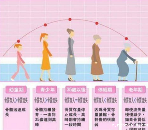 便携式骨密度检测仪厂家谈骨密度检测哪个部位较准确 便携式骨密度检测仪厂家谈骨密度检测哪个部位较准确