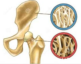 骨密度检测仪厂家谈如何看懂骨密度检查的结果 骨密度检测仪厂家谈如何看懂骨密度检查的结果