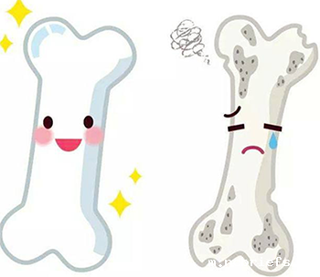 骨密度检测仪针对儿童骨密度测量全方位方案