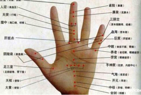 便携式骨密度检测仪厂家教您骨质疏松症的穴位治疗调理法! 便携式骨密度检测仪厂家教您骨质疏松症的穴位治疗调理法!